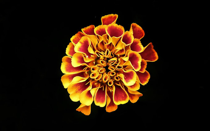 image slot