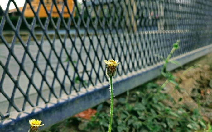 image slot