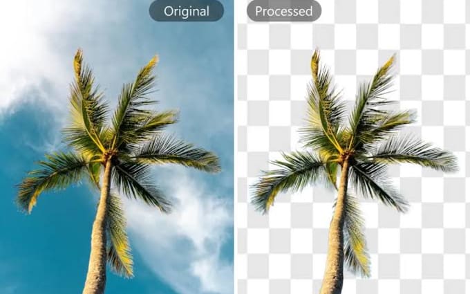image slot