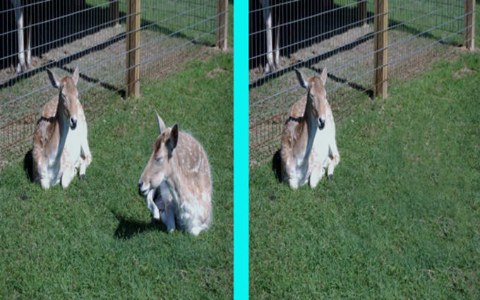 image slot