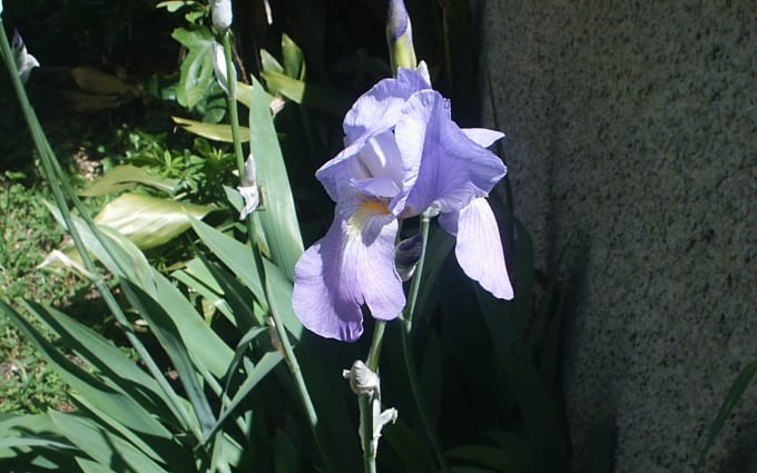 image slot