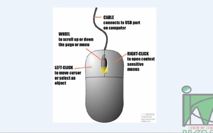 image slot