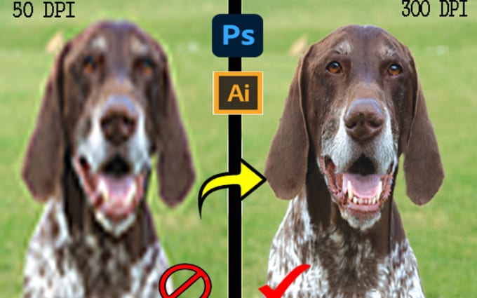 image slot