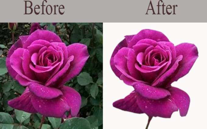 image slot