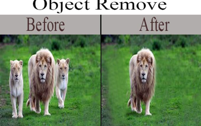 image slot