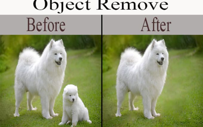 image slot