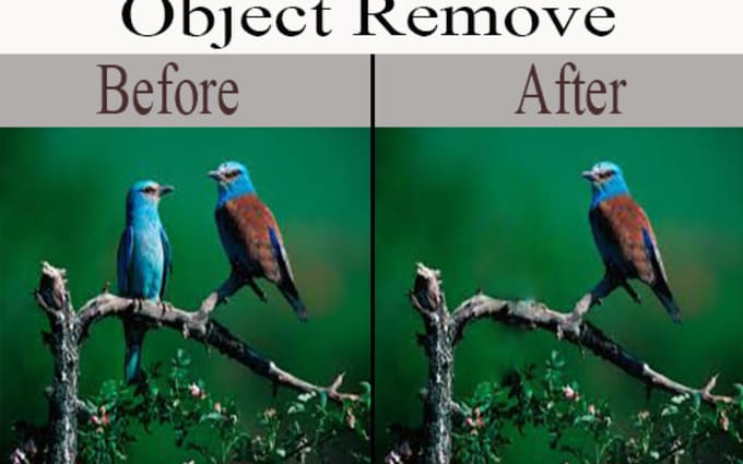 image slot