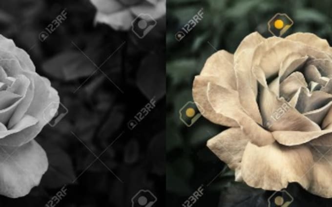 image slot