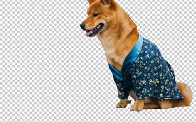 image slot