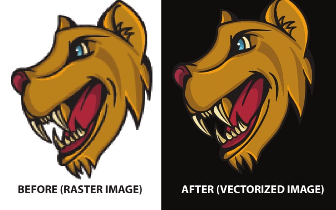 image slot