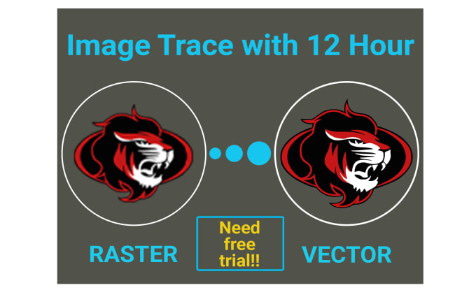 image slot