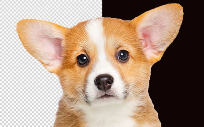image slot