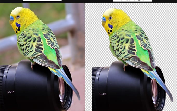 image slot