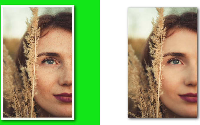 image slot