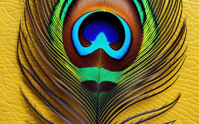 image slot