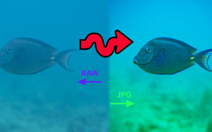 image slot