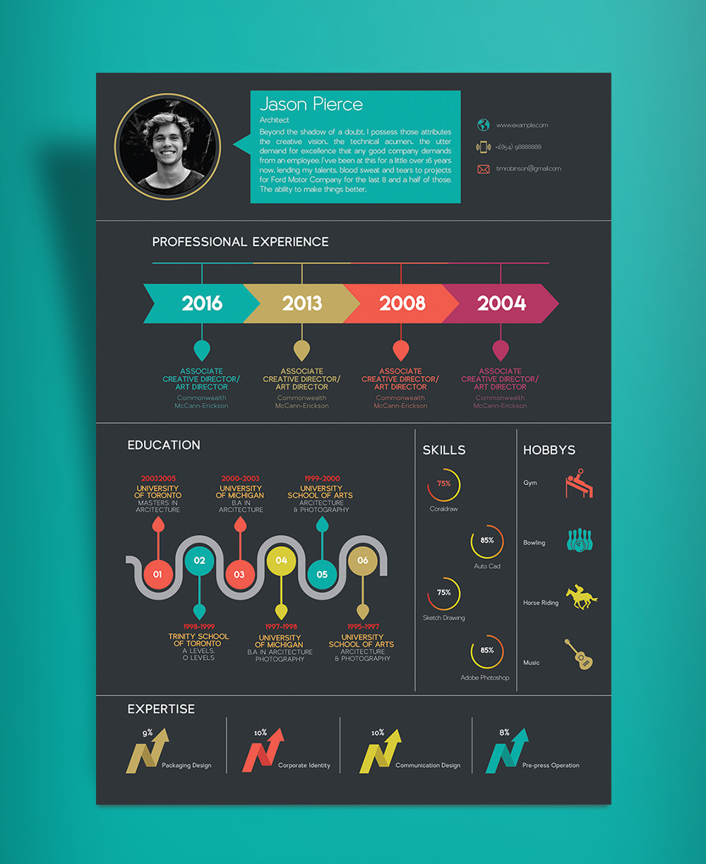 I will design a killer CV resume in infographic style under 23h For Infographic Cv Template Free