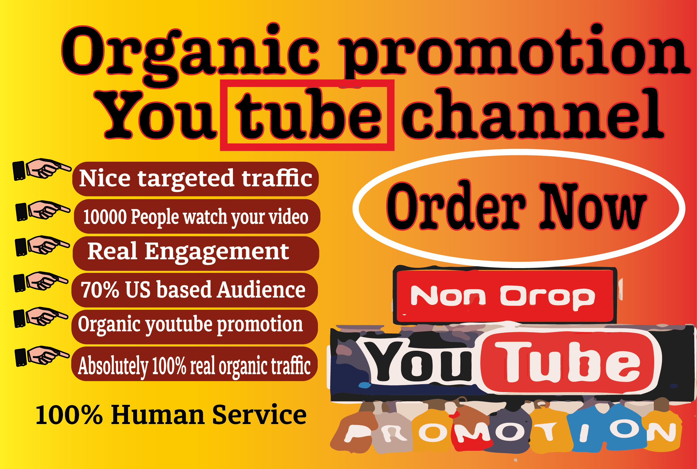 I will do best YouTube video promotion services