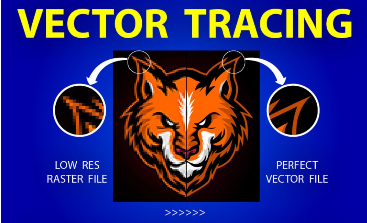 I Will Vectorize Vector Tracing Logo To Vector Within 2 Hours