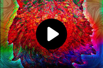 kissnowa's task image 1