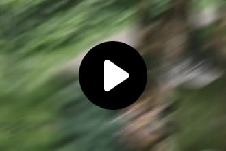 pradipsarkar123's task image 1