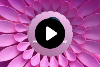 rodedeepak's task image 4