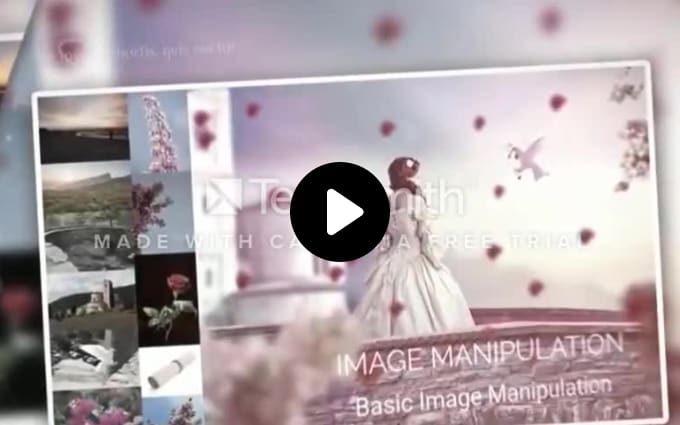 image slot